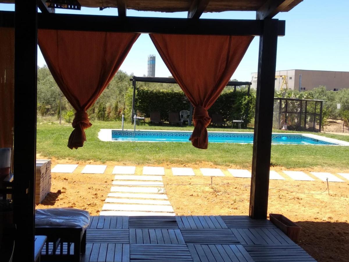 Casa Ecuestre Carmen Martinez Bed & Breakfast Fuente Palmera Екстериор снимка