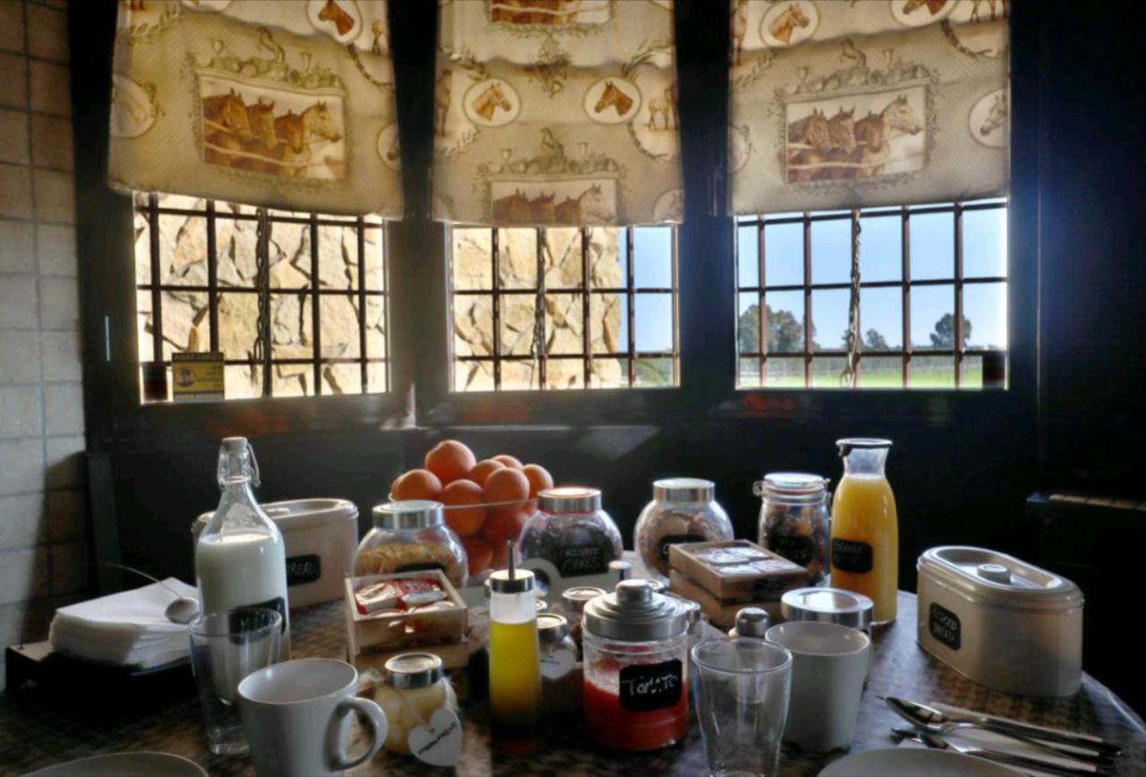 Casa Ecuestre Carmen Martinez Bed & Breakfast Fuente Palmera Екстериор снимка